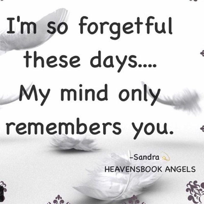 Quotes by Heavensbook | HEAVENSBOOK ANGELS memorial sympathy gifts