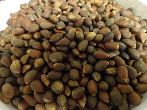 Pinon Nuts New Mexico Wholesalepinonuts