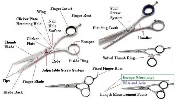 About Haircutting Shears Scissors 101 Different Kinds Of Hair