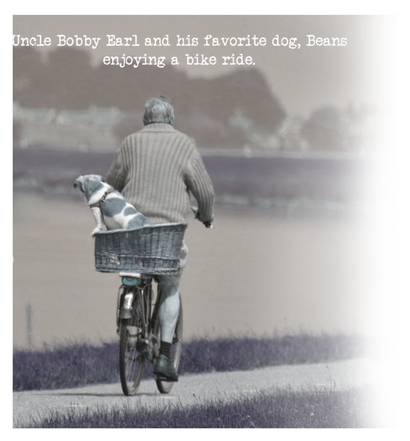 Louisiana Flag Patch Trucker Hat - Vintage Style Adjustable Cap With Embroidered State Flag