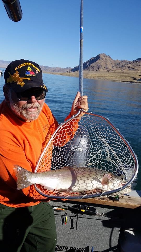 Arizona Fishing Report 2017