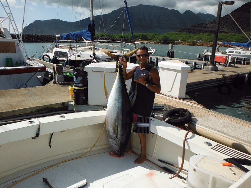 Standup Fishing HarnessSize XL (Waist 4042) Fishing Harness