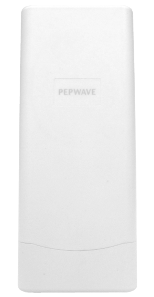 AP One Flex 300M -- New 2.4 & 5GHz Model!