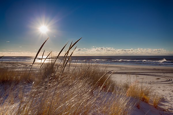 16 x 20 Beach Grass | Long Island Photographer Portraits Landscape Real ...