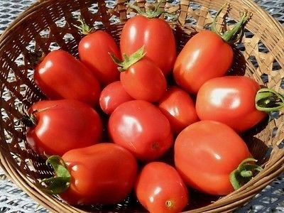 roma tomato tomatoes seeds vfn varieties ohio heirloom salsa amandabhslater favorite sweet creative commons farmgirl