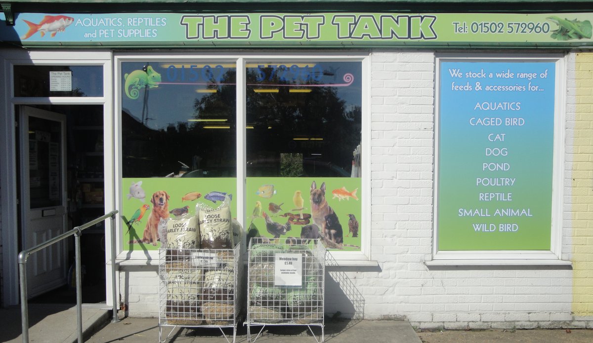 The Pet Tank, Lowestoft