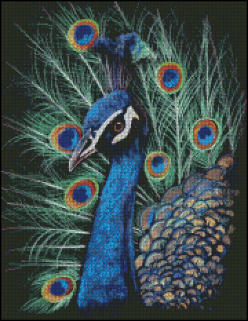 The Peacock Counted Cross Stitch Pattern | Shinysun's ...