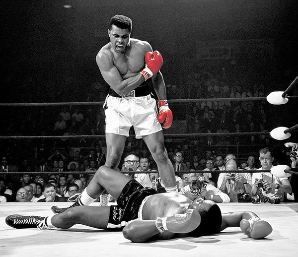 Muhammad Ali Knockout | Collectible Art Gallery