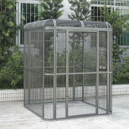 Walk in Aviary Parrot Flight cage by Centurion Cages and aviaries