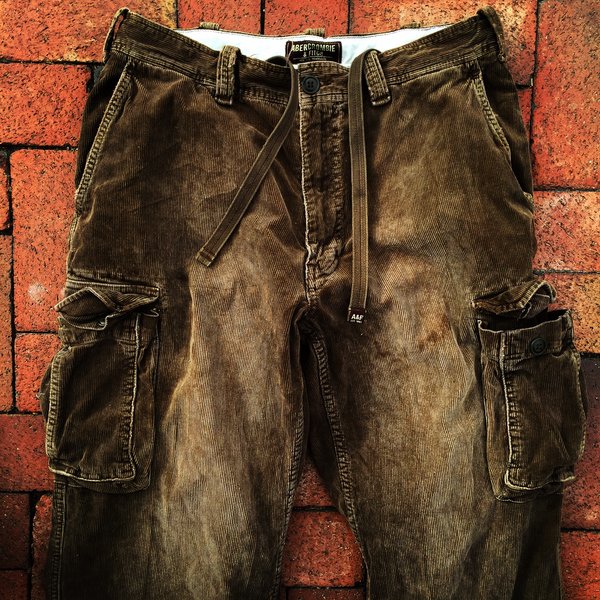abercrombie and fitch mens cargo pants