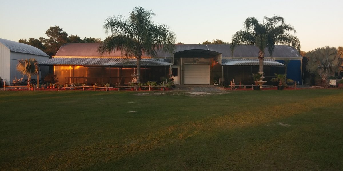 efg orchids,deland,volusia county,orchids,exotic plants,nursery