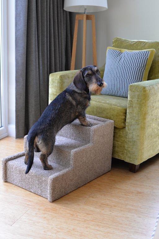 Sausage clearance dog stairs