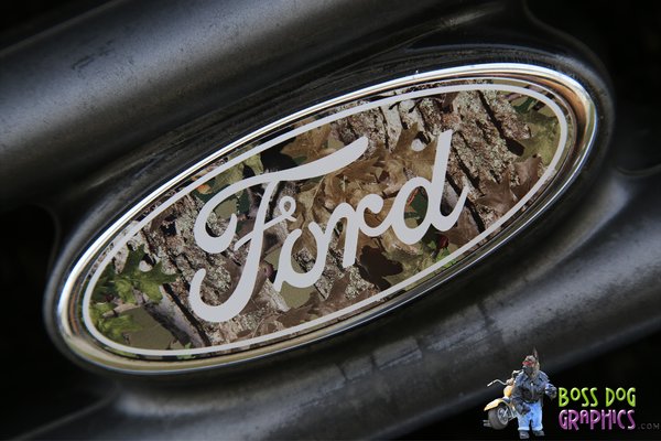 Ford f250 emblem overlays #9