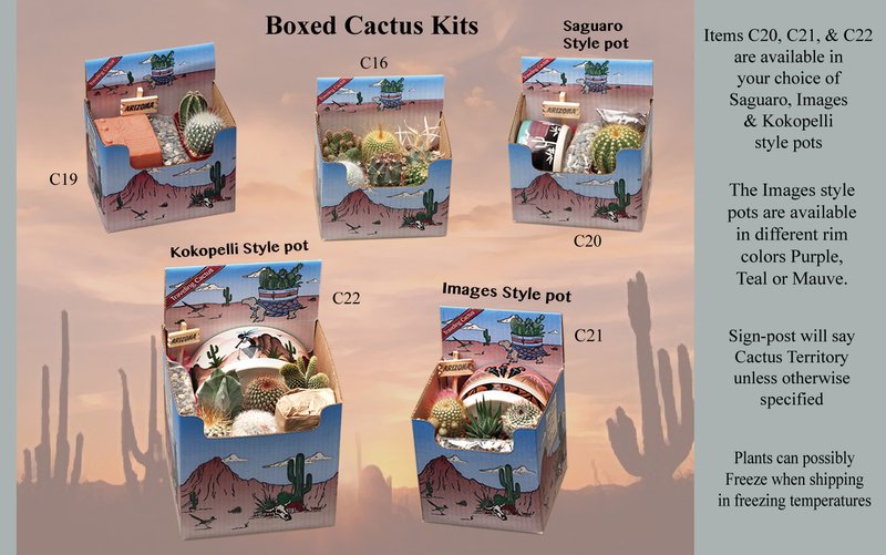 Cactus Travel Kit - 4 inch