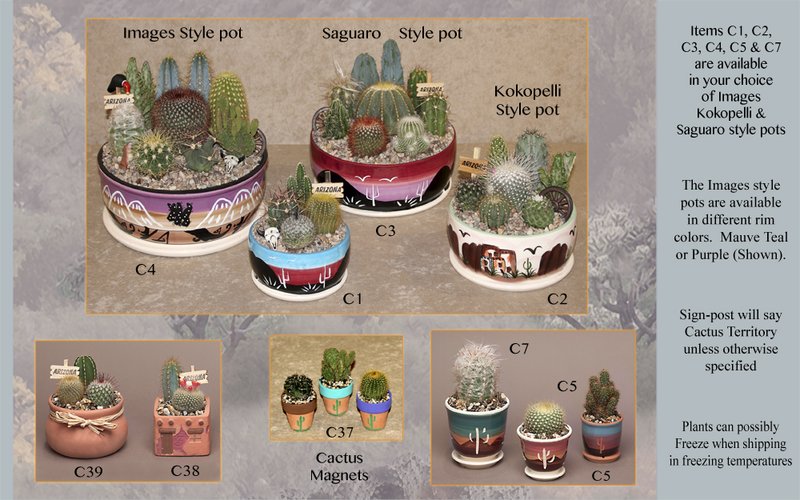 Cactus Gardens Cactus Gardens Kits Nursery Apache Jct Hifire Stoneware Pottery