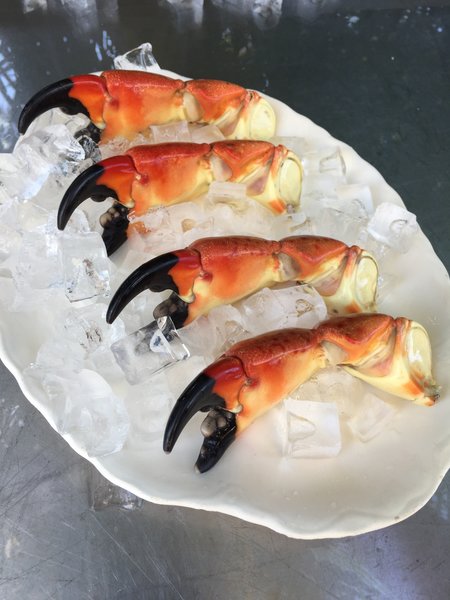 Stone crab Fresh Florida StoneCrab and Shrimp Delivered 