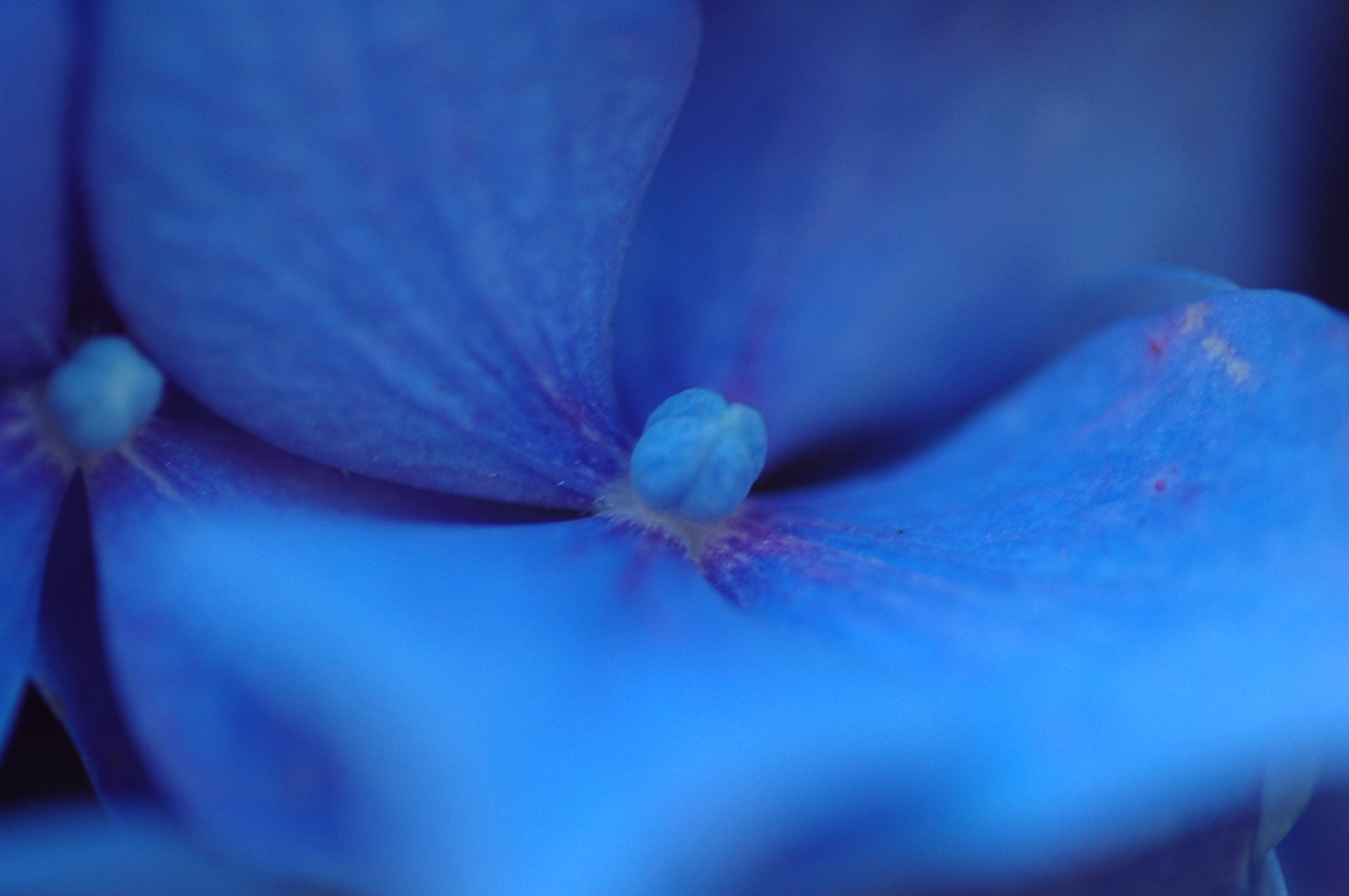 C R Williams Family Day Care