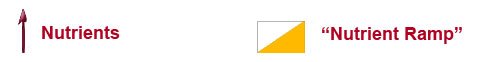 Nutrient Ramping Graph