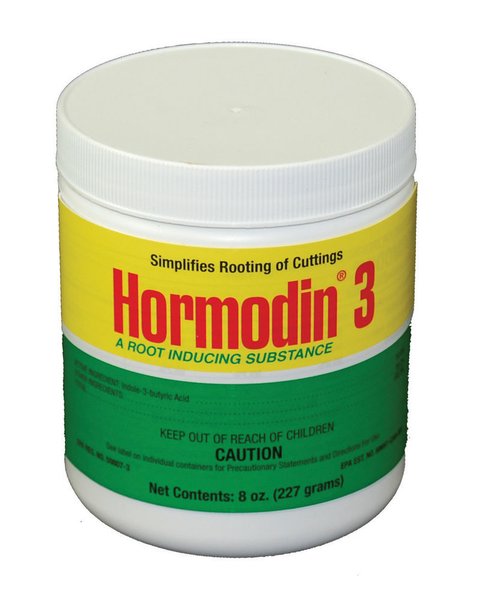 Hormodin #3 Rooting Hormone (0.8% IBA) - 0.5 pound jar | Glorious