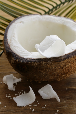 Coconut Fragrance Oil | Michelle Makes Scents