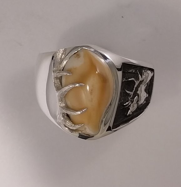Diamond Elk Ivory Ring Elk Ivory Jewelry