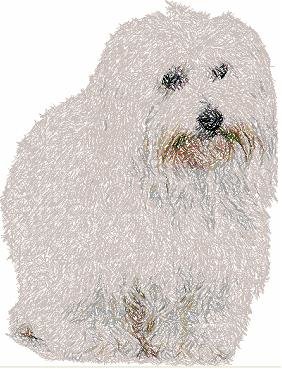 Download Coton de Tulear | kenyon embroidery wholesale, retail