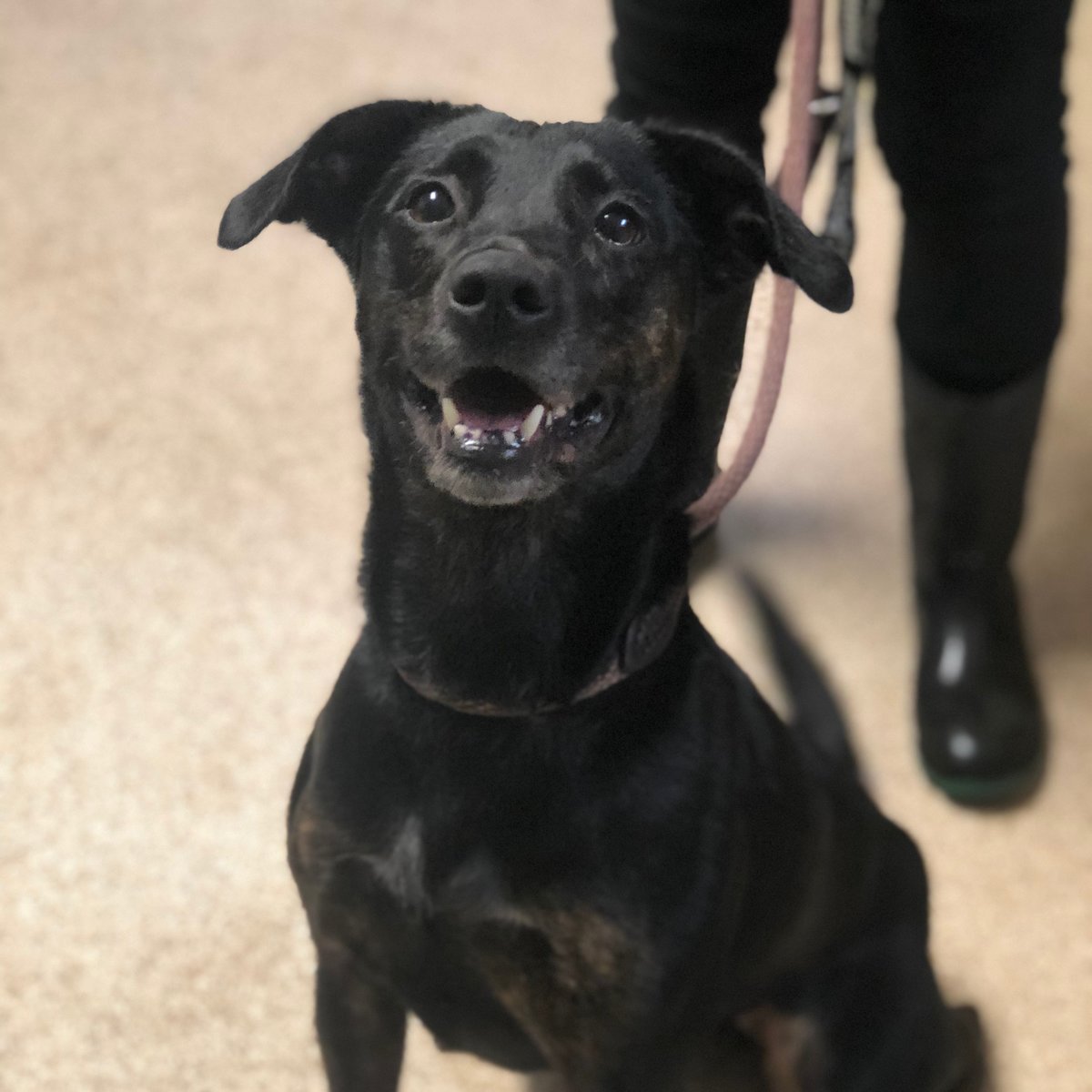 Humane Society of Calvert County