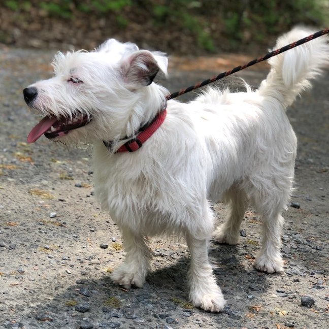 Humane Society of Calvert County