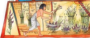 aromatherapy history timeline