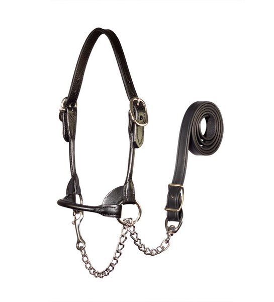 Leather Show Halter for Mini Cows Mini Cattle Supply Halters and Lead